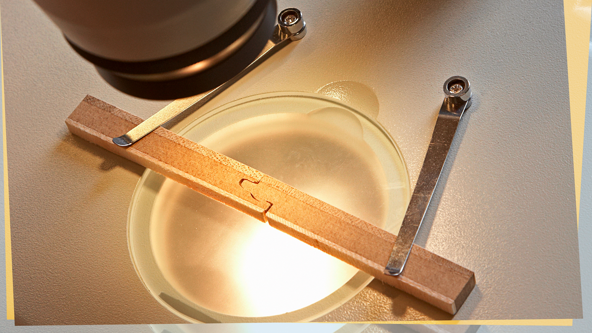 Uniclic, het innovatieve kliksysteem voor vloerpanelen, groeide uit tot een succesvol businessmodel.